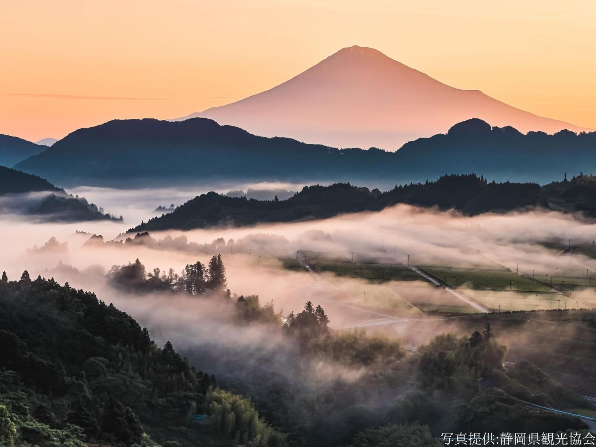 Hotel Wing International Shizuoka Zewnętrze zdjęcie